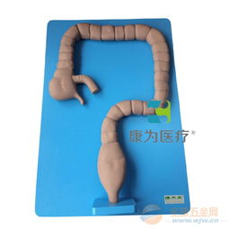 康為醫(yī)療乙狀結(jié)腸鏡檢查模型 開啟下消化道內(nèi)窺鏡實(shí)訓(xùn)新紀(jì)元